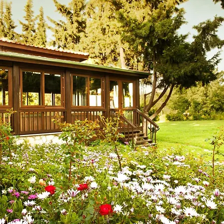 Naturmed Thermal Springs And Health Center קוסדסי