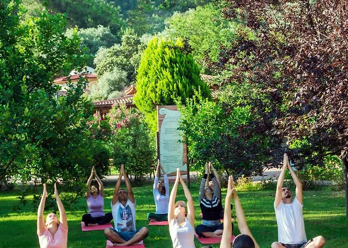 Naturmed Thermal Springs And Health Center מלון קוסדסי