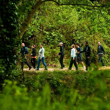 Hotel Naturmed Thermal Springs And Health Center